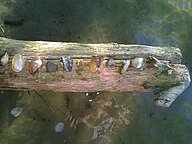 Erlebnisse auf dem Wasser Erlebnisse auf dem Wasser